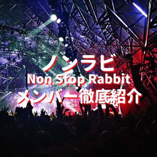 ノンラビ NONSTOPRABBIT cd - CD